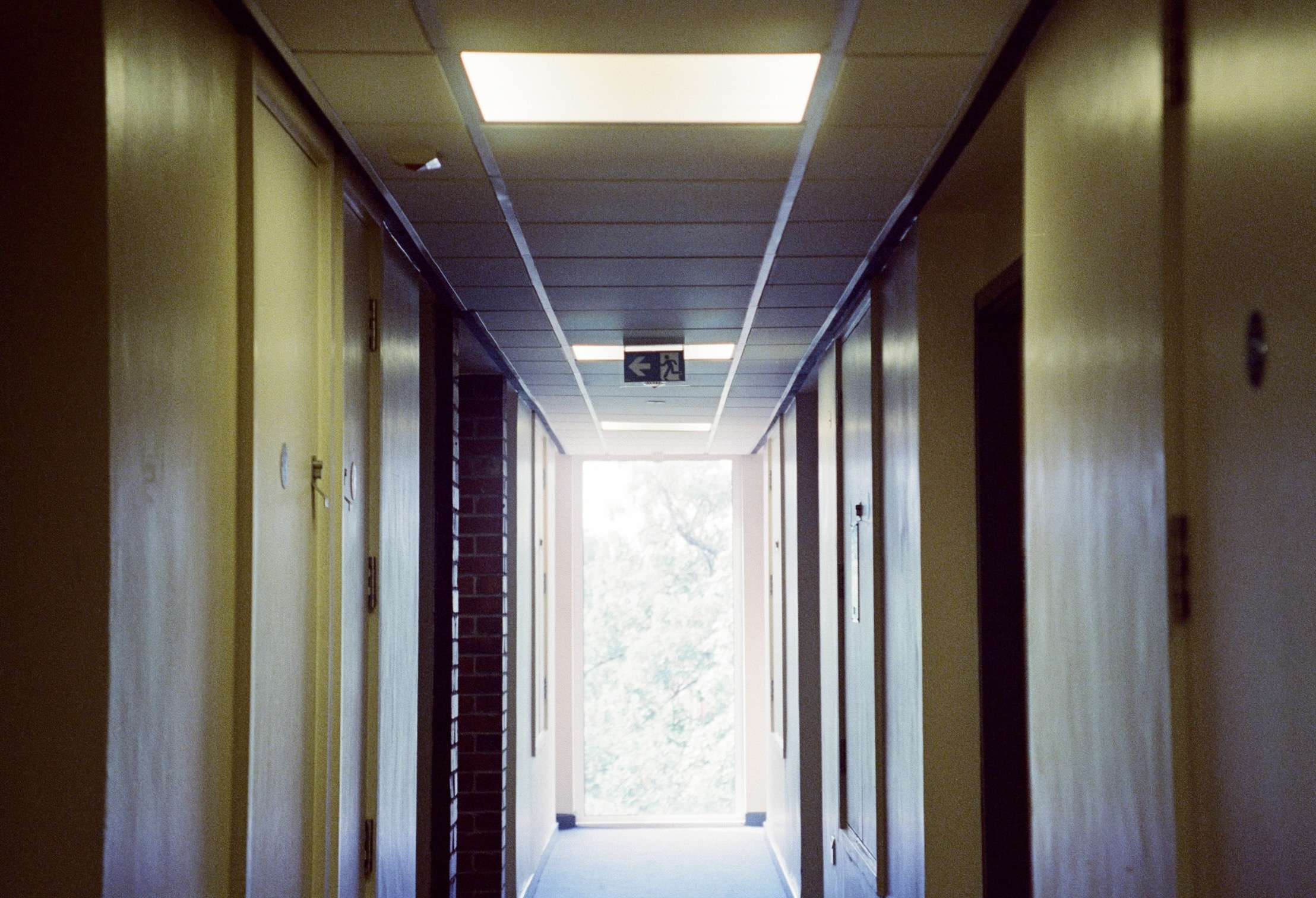 Kodak 500 #22